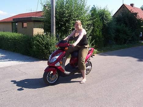 PGO Dr. Big - Min dame på scooteren 3 billede 9