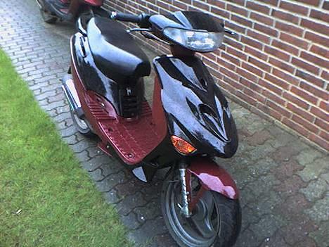 Adly silverfox til salg... billede 1