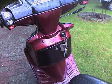 Adly silverfox til salg... billede 2