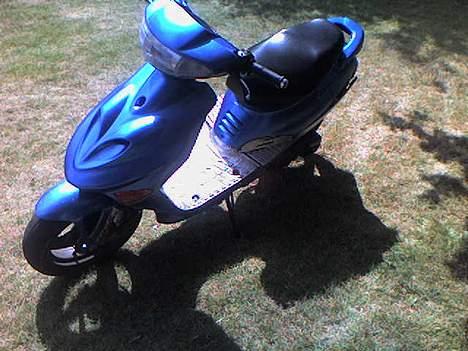 Adly silverfox til salg... billede 3