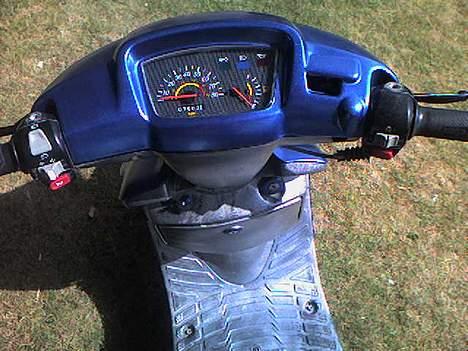 Adly silverfox til salg... billede 4