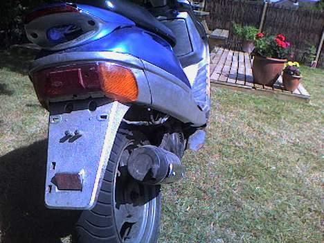 Adly silverfox til salg... billede 5