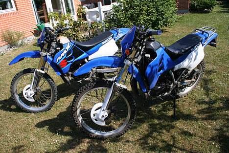 Suzuki RMX billede 13