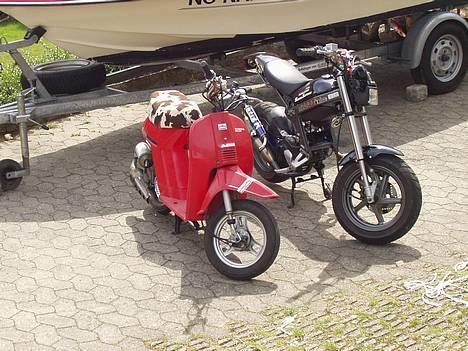 Suzuki Street Magic ELEANOR billede 12