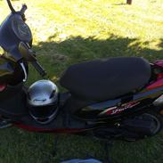 Giantco Sprint (Jackie)