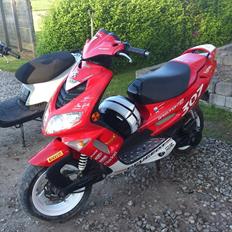 Peugeot Speedfight 2 Wrc 307