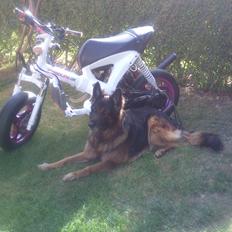 Gilera Ice