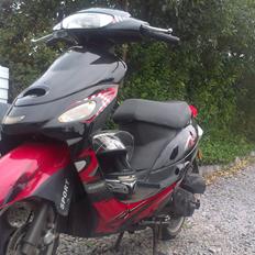 Giantco Sprint Sport