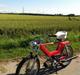Puch maxi KL Hirtshalsraceren!
