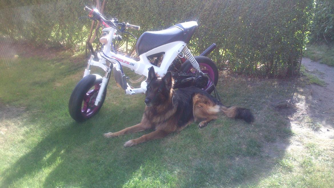 Gilera Ice billede 1