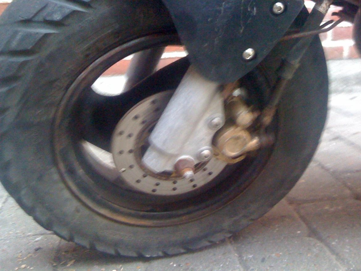 PGO hot 50 billede 7