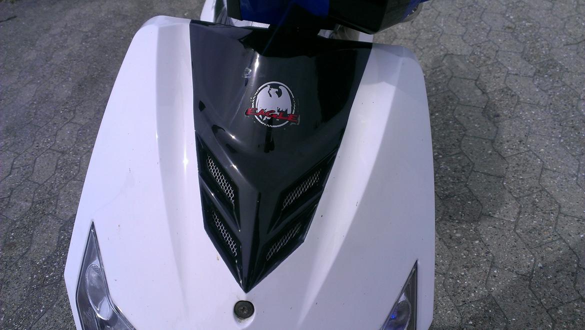 Baotian Eagle (Kørt til skrot ano 2k15) billede 13