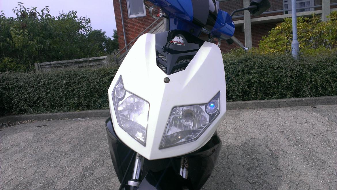 Baotian Eagle (Kørt til skrot ano 2k15) billede 14