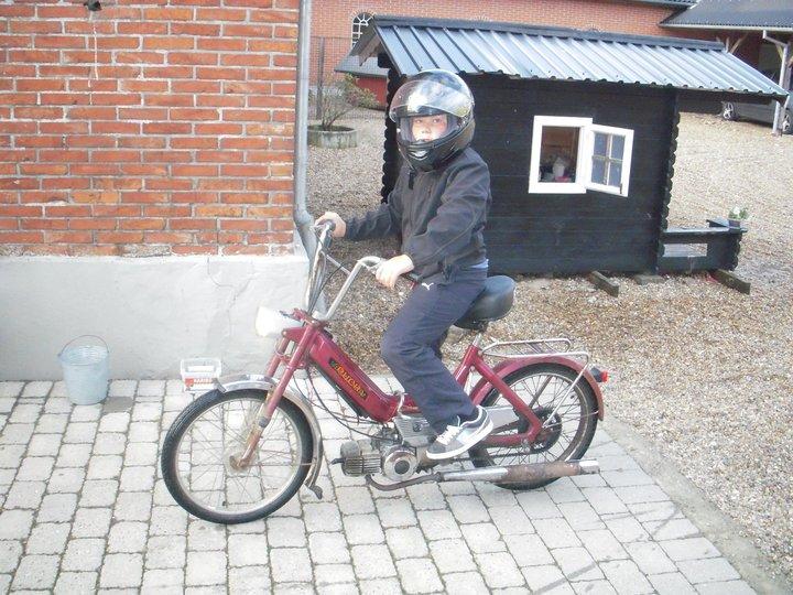 Puch Maxi billede 6