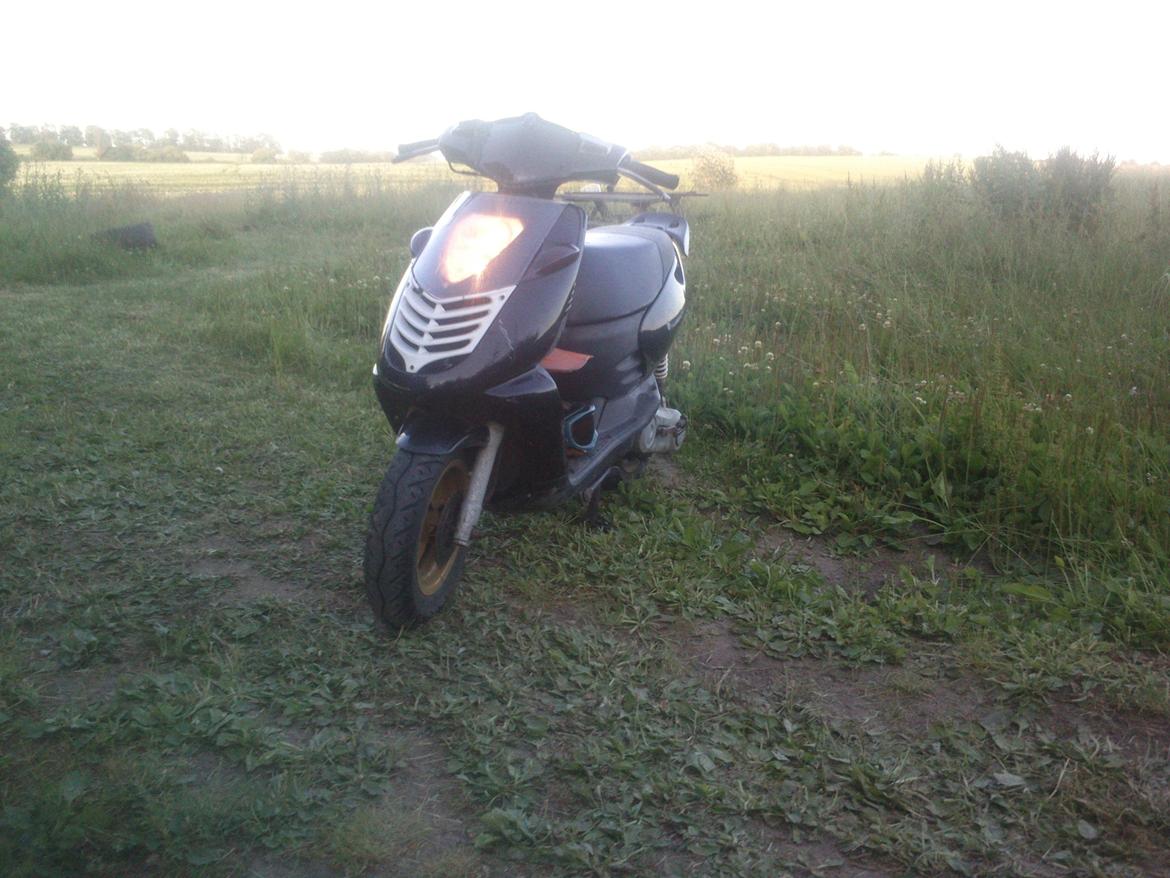 Aprilia Sonic billede 1