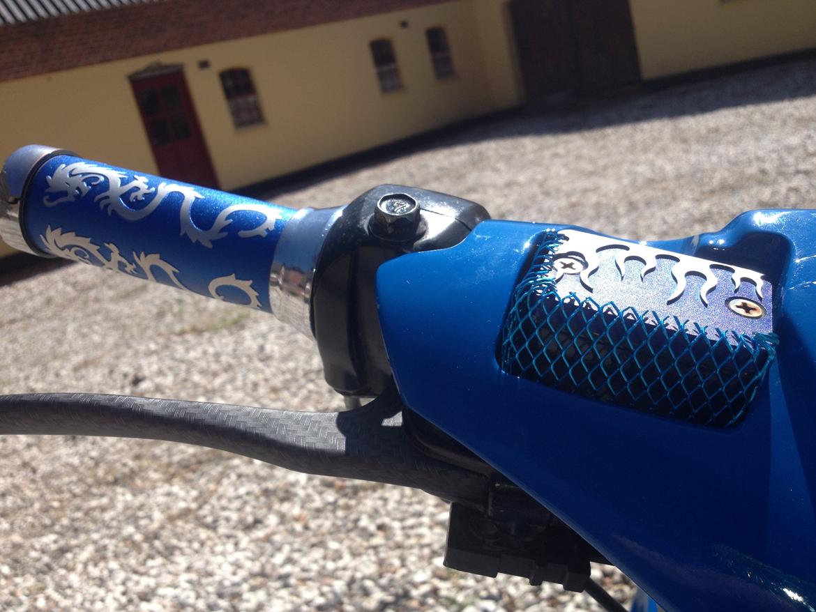 PGO Hot 50 billede 6