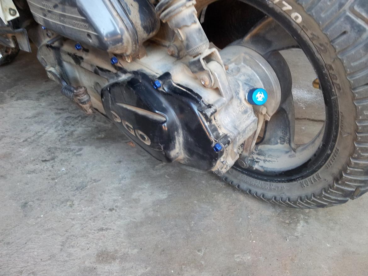 PGO Hot 50 [Tidl.Scooter] - Blå skruer i kickstarterskjold
Blå olieprop billede 14