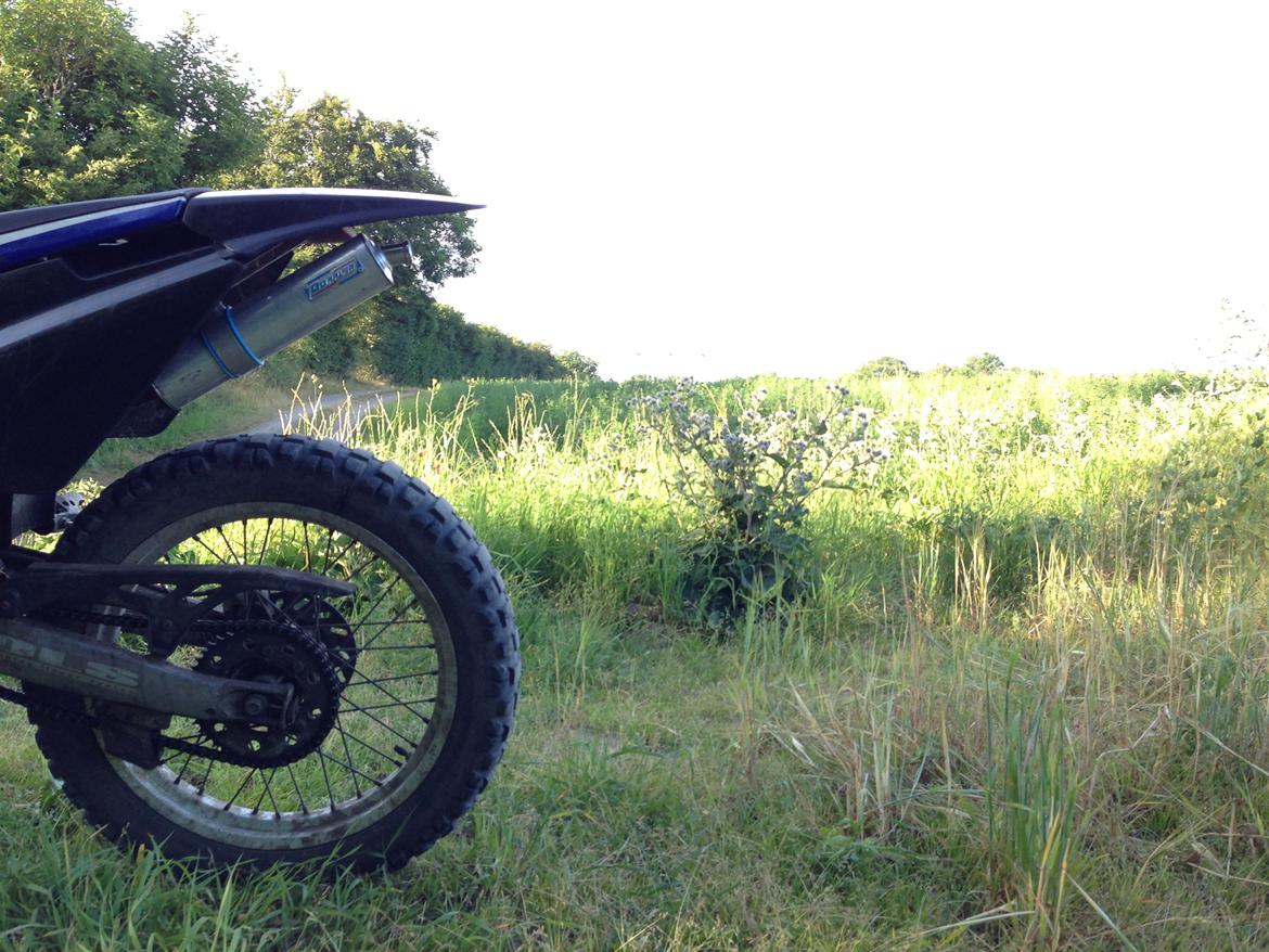 Derbi Senda LC DD billede 11