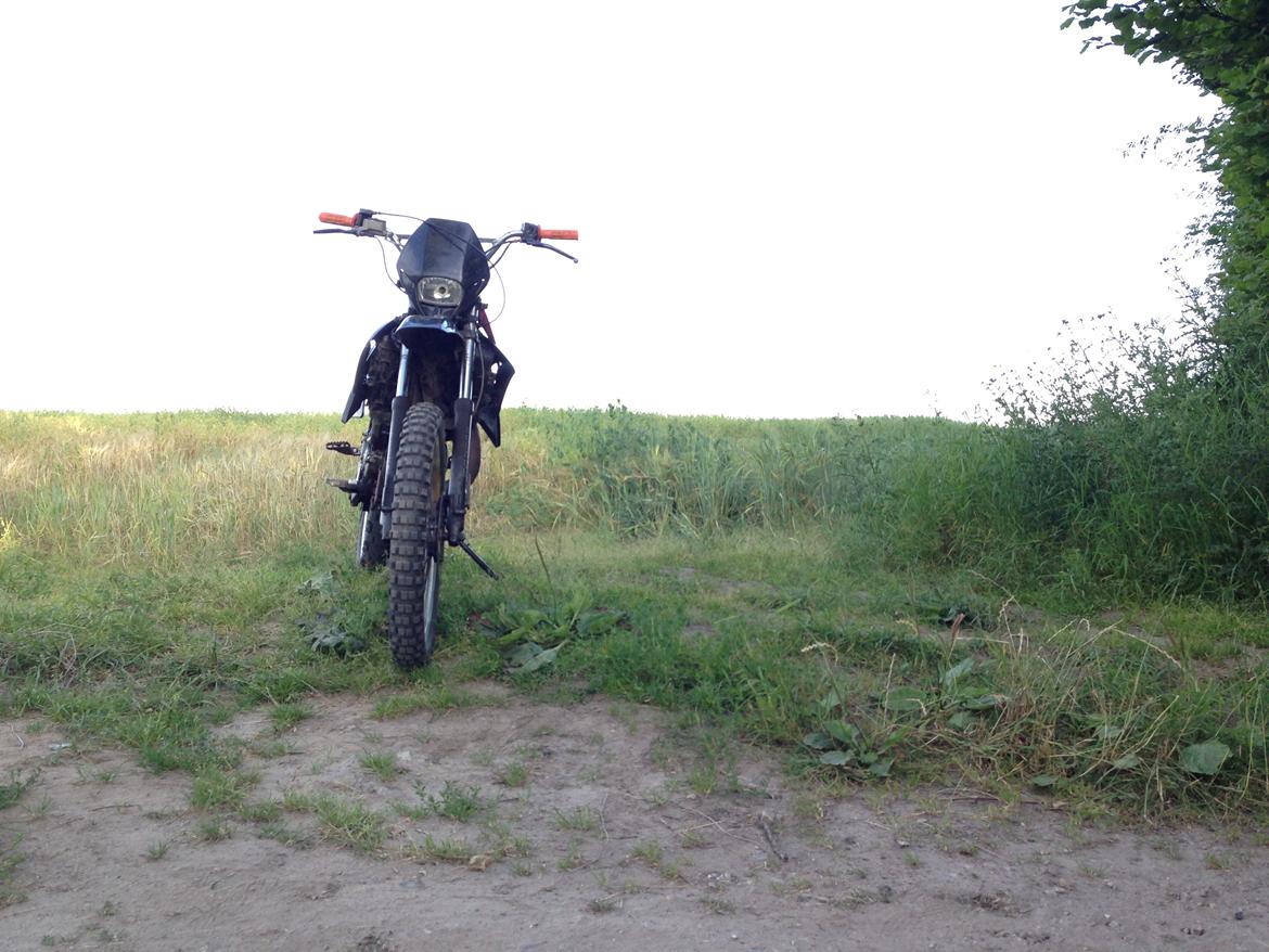 Derbi Senda LC DD billede 5