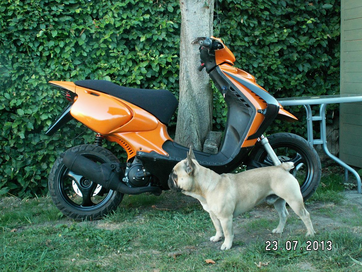 Beta ark lc dd billede 7