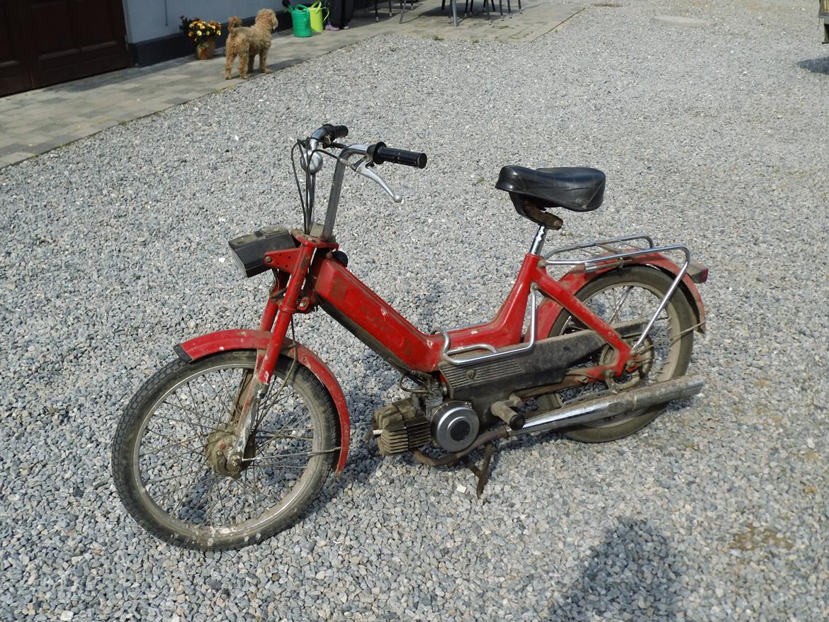 Puch maxi k billede 13