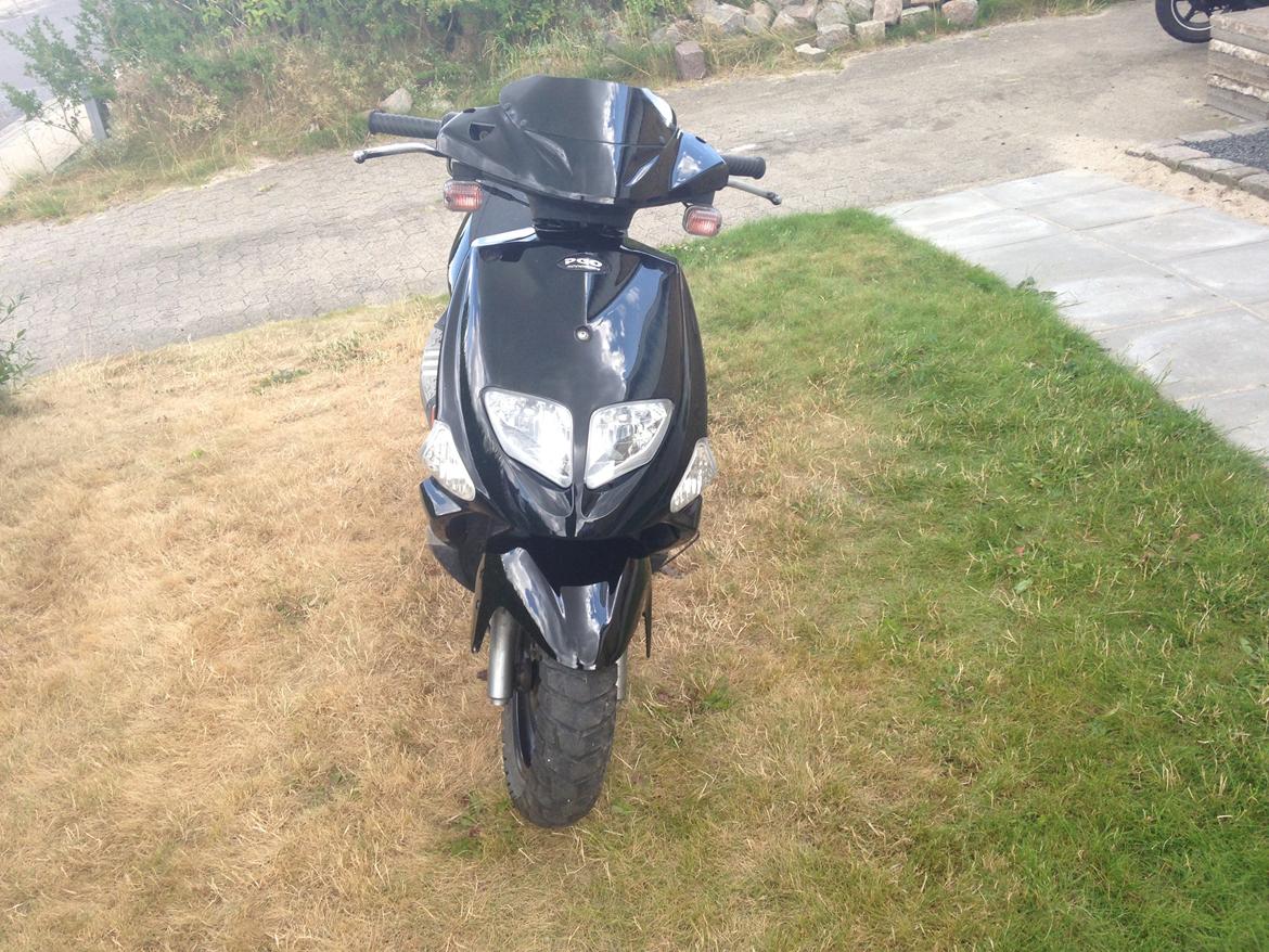 PGO Dr. Big billede 7