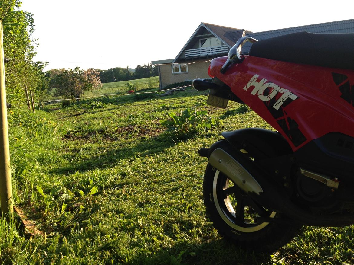 PGO Hot 50 SP billede 4