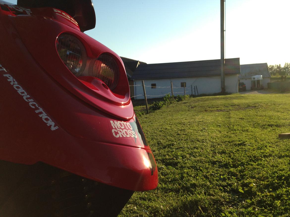 PGO Hot 50 SP billede 7