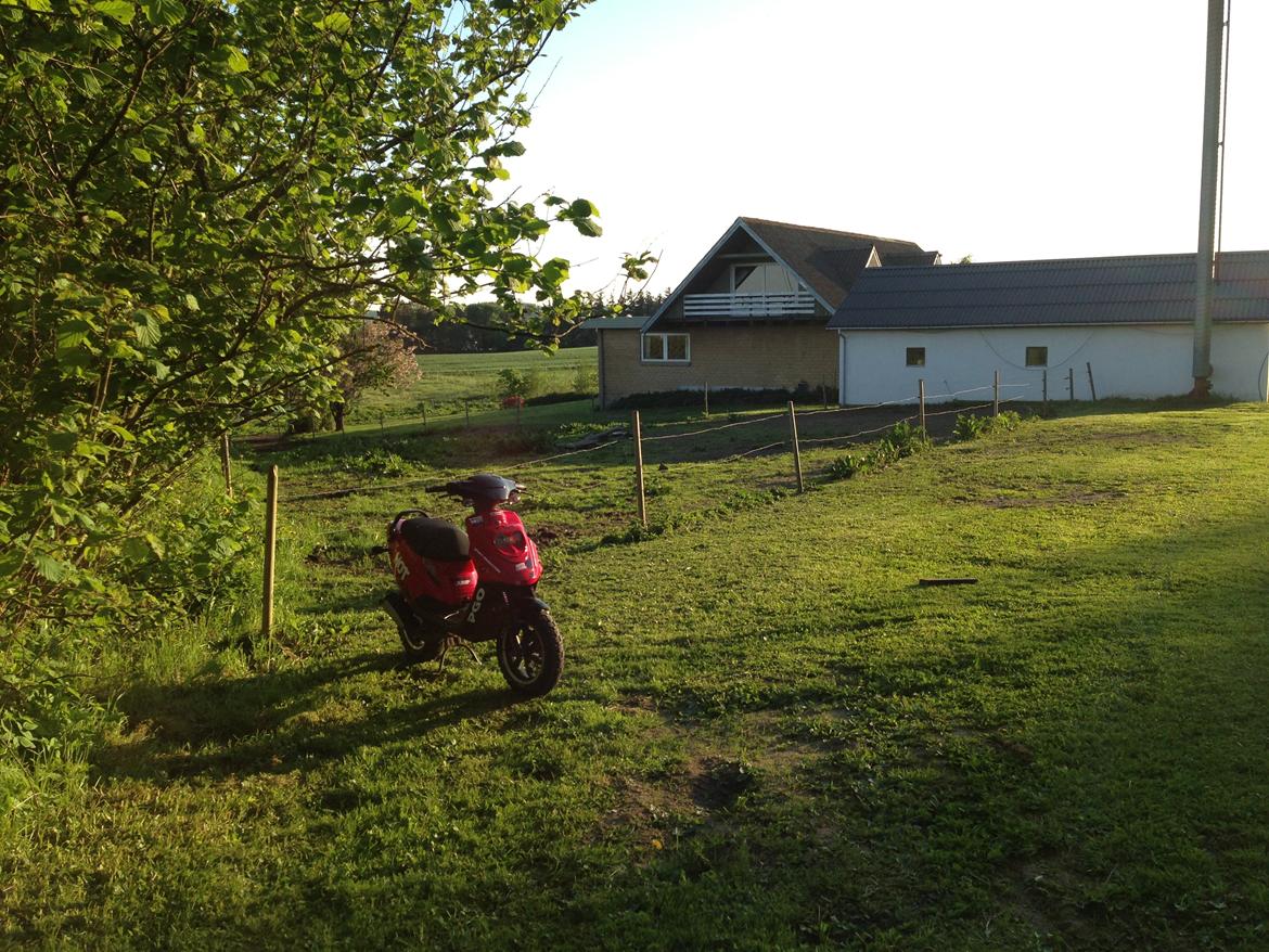 PGO Hot 50 SP billede 12