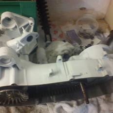 PGO galaxy/ligero/whitte magic