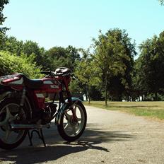 Puch Racing N50-3 "A.K.A Monza Pedal"