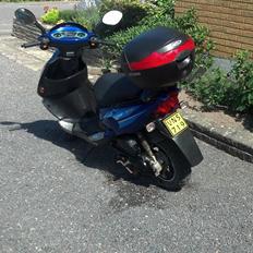 PGO Dr.Big "vild bassen"