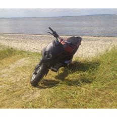PGO PMX Sport