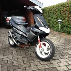 Gilera Runner LC DD EVO3
