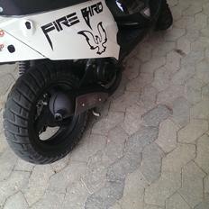 PGO Hot 50 "Fire Bird"