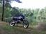 Suzuki SMX / RMX