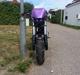 Suzuki Street'Rox