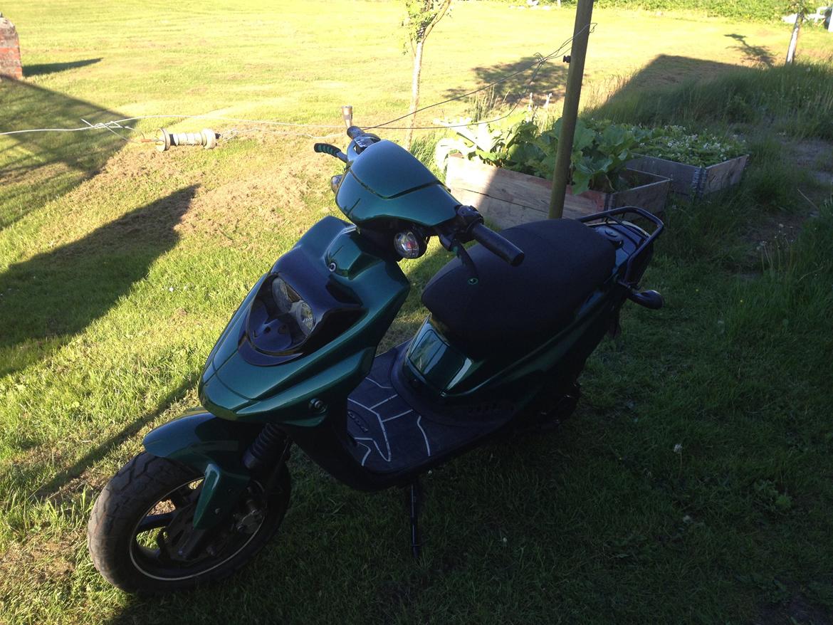 PGO Hot 50 - Ny Polerede skjolde billede 10