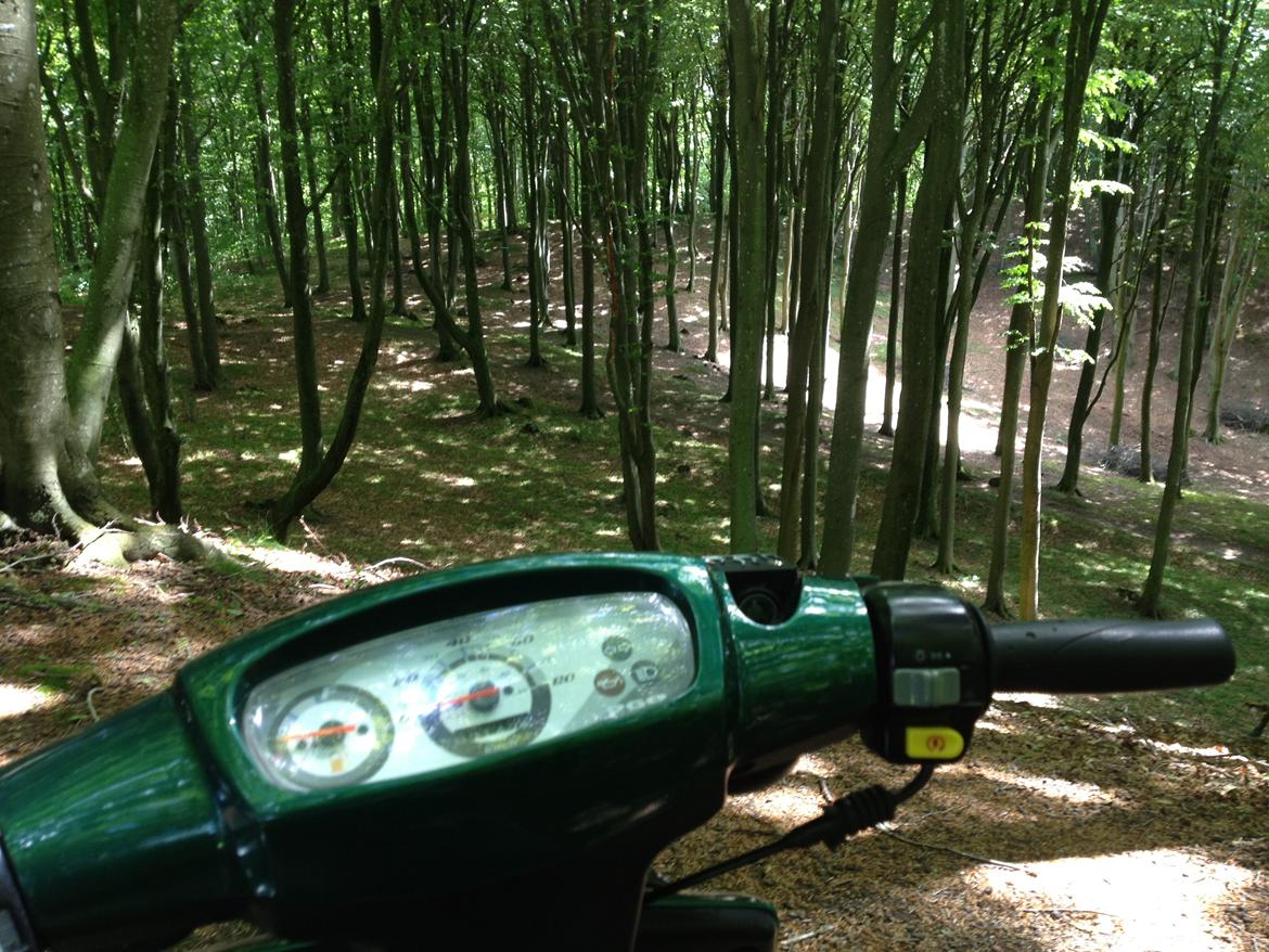 PGO Hot 50 - Wild Life billede 20