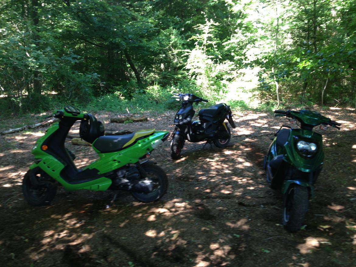 PGO Hot 50 - Ude i naturen :P billede 19