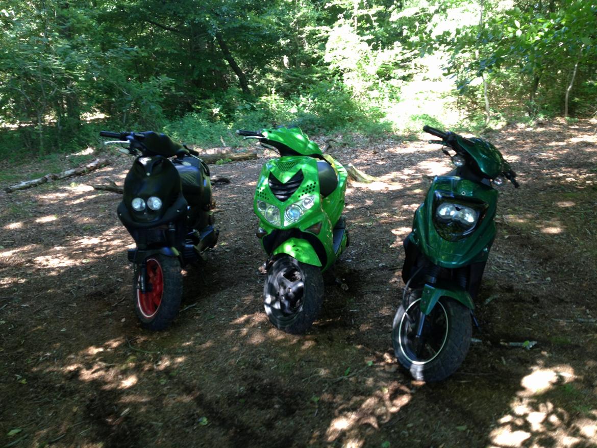 PGO Hot 50 - Der er så fuld af sjov inde i en skov.... på en knallert :P billede 13