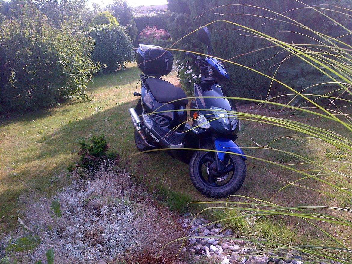 PGO T-Rex 50 billede 1