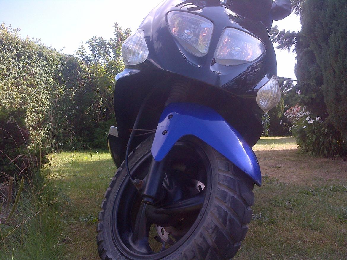 PGO T-Rex 50 billede 2