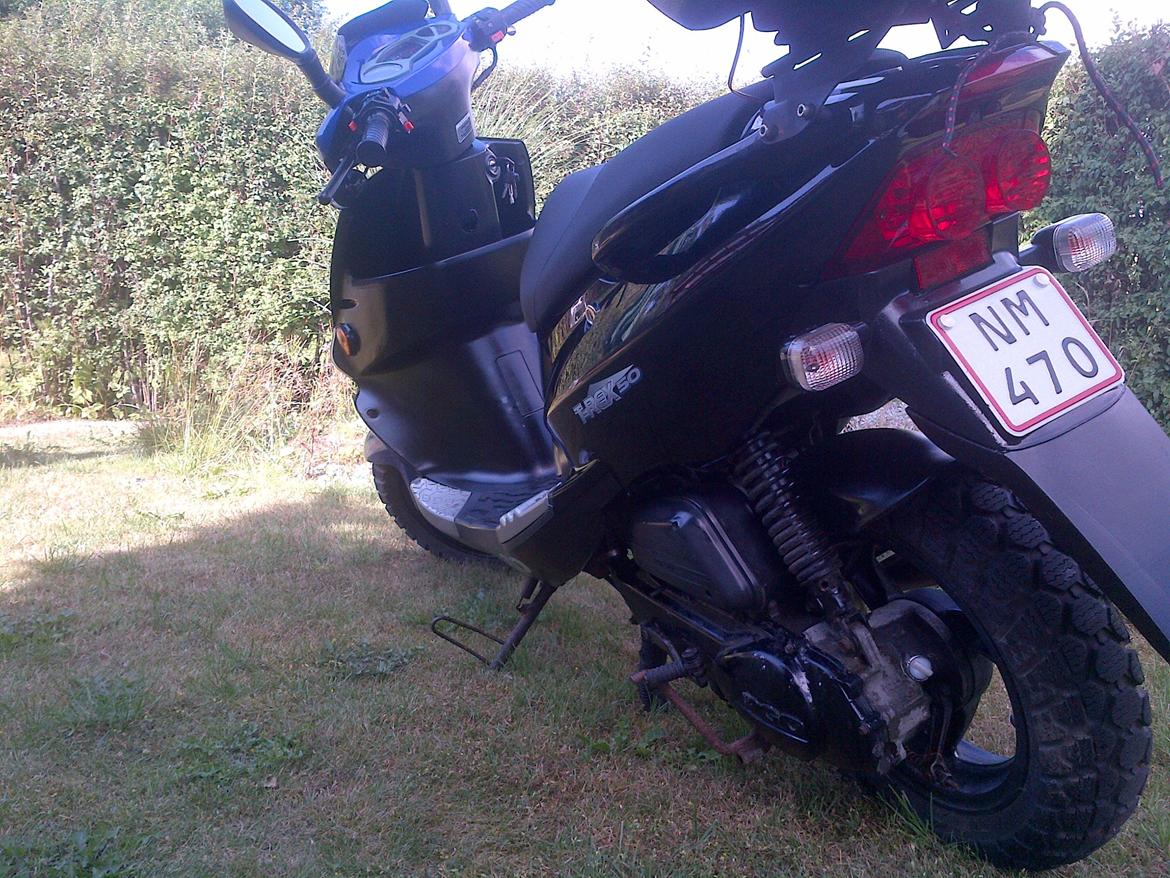 PGO T-Rex 50 billede 4