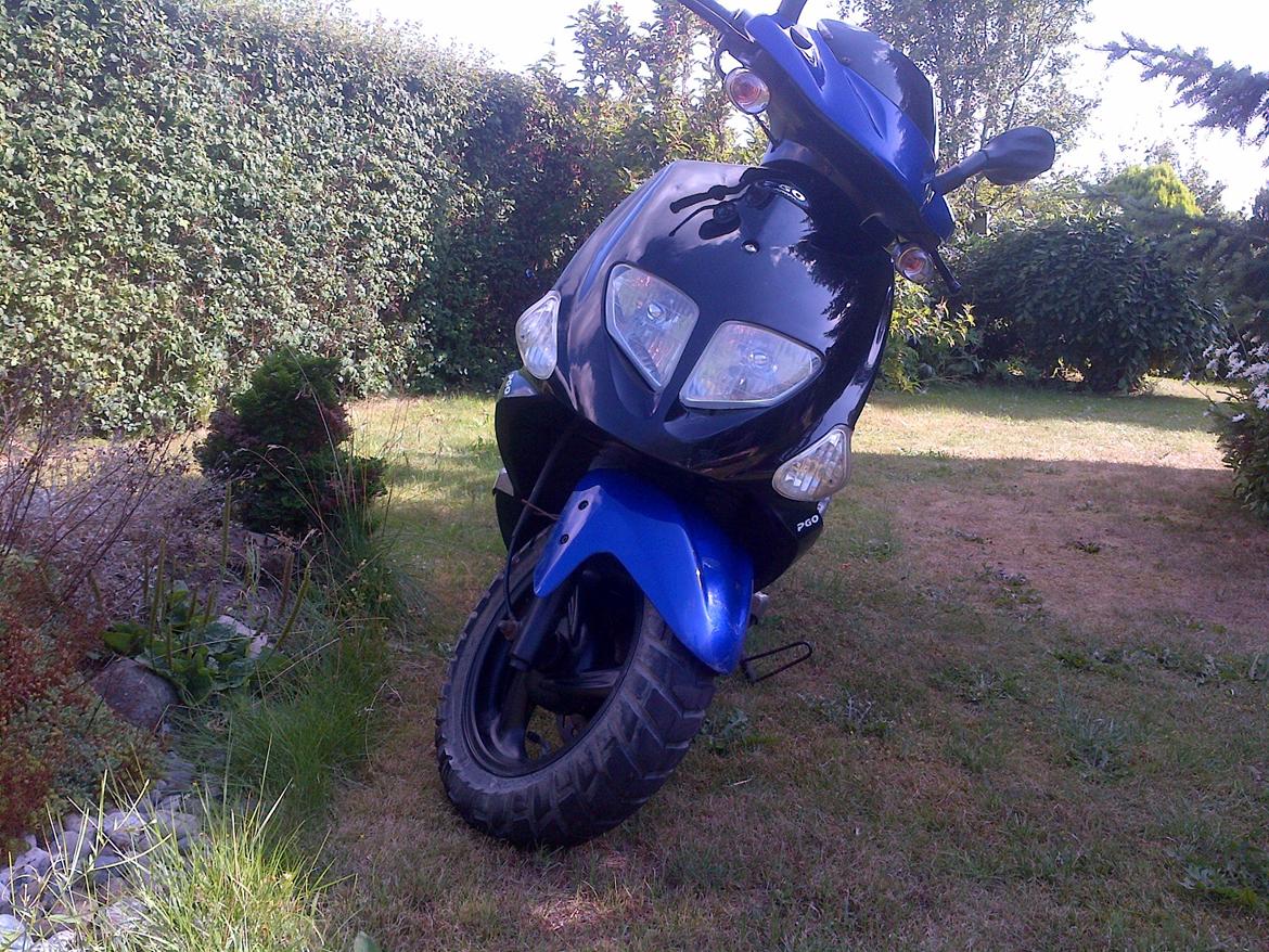 PGO T-Rex 50 billede 6