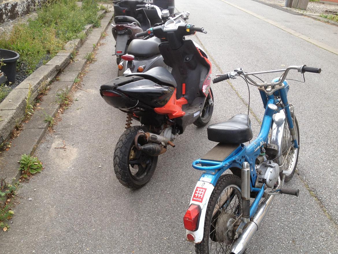 Veteraner boss billede 6