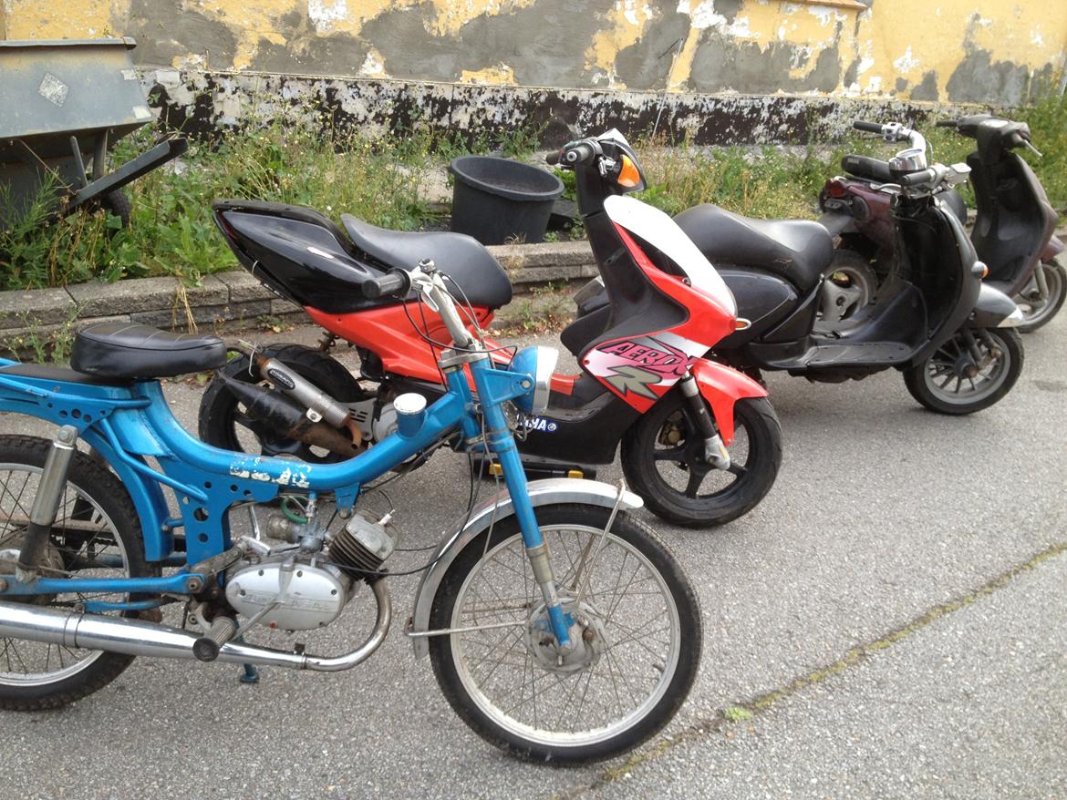 Veteraner boss billede 7