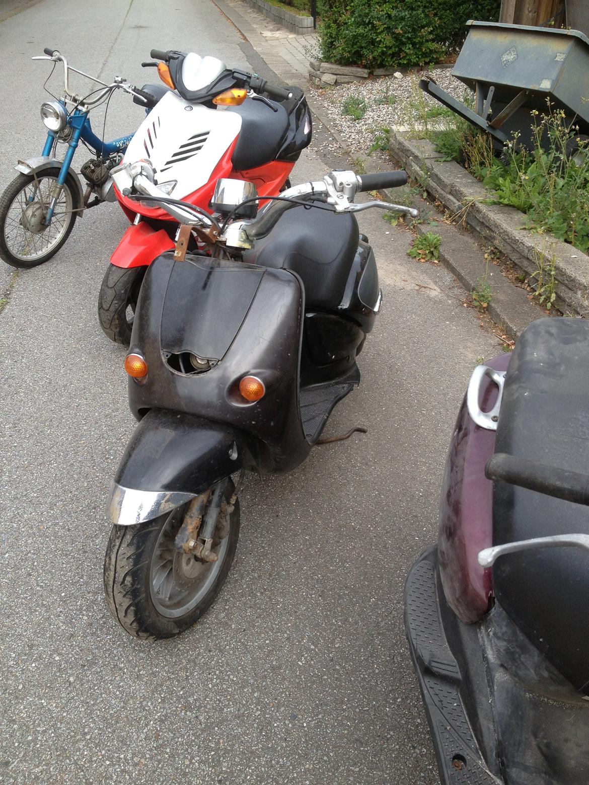 Aprilia habanna billede 1