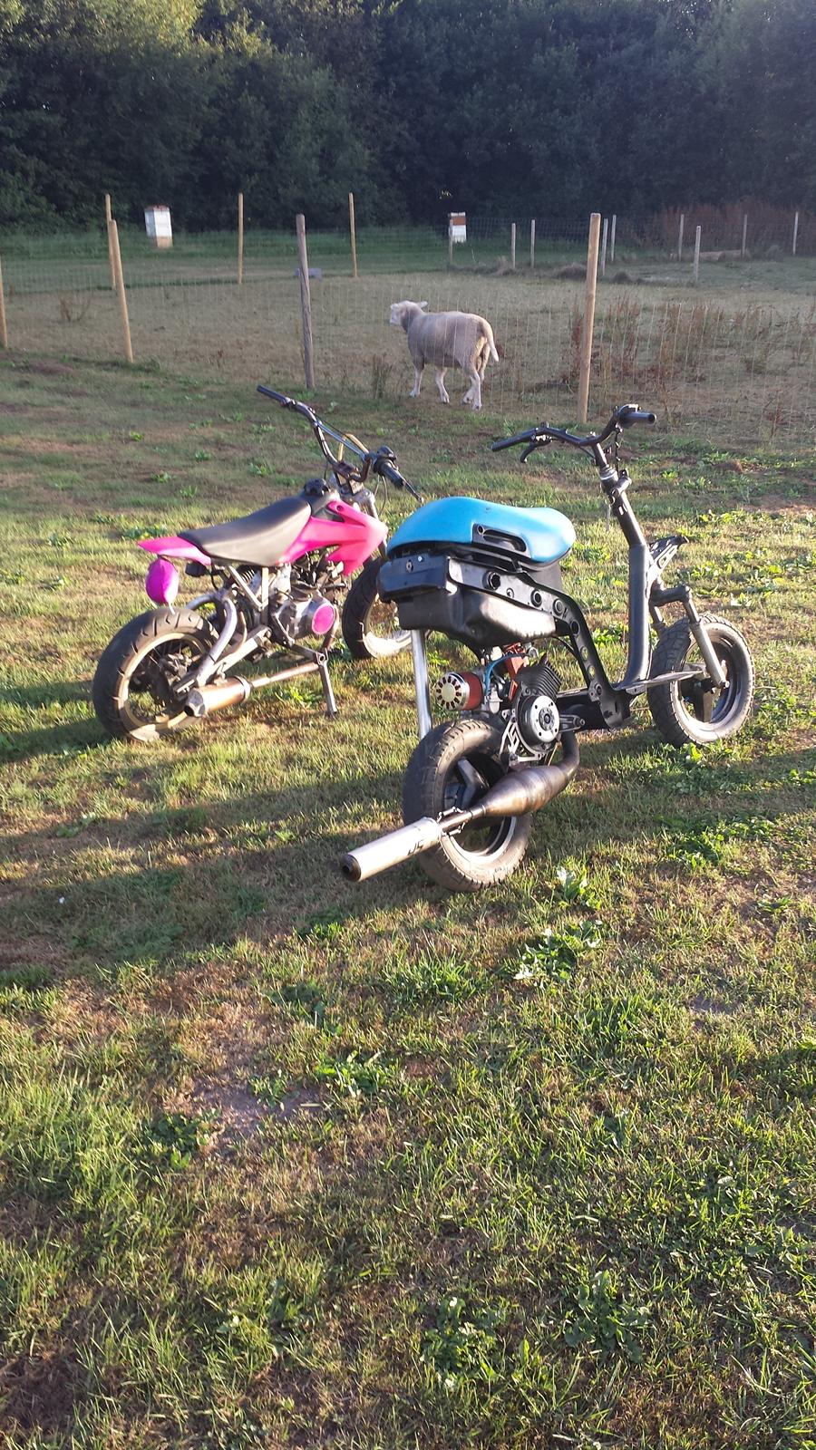 Piaggio EVO2 Zip (byttet til rs50) billede 4