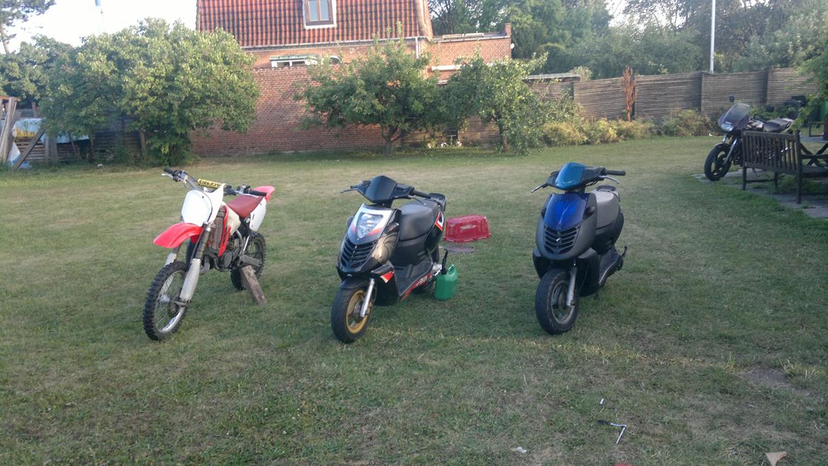 Aprilia Sonic - freed's cross, min sonic og lp's sonic billede 28